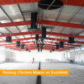 Tianrui Design Poultry Farm cobertizo con acero de alta calidad